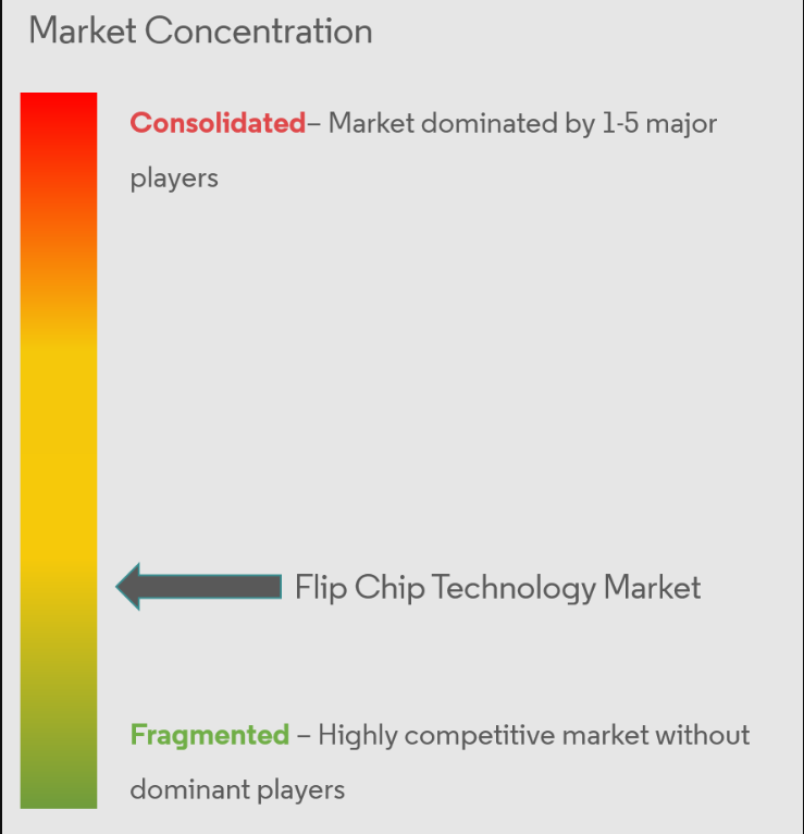 Flip Chip Technology Market Concentration